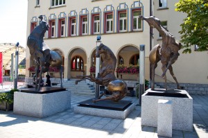 IMG_0760